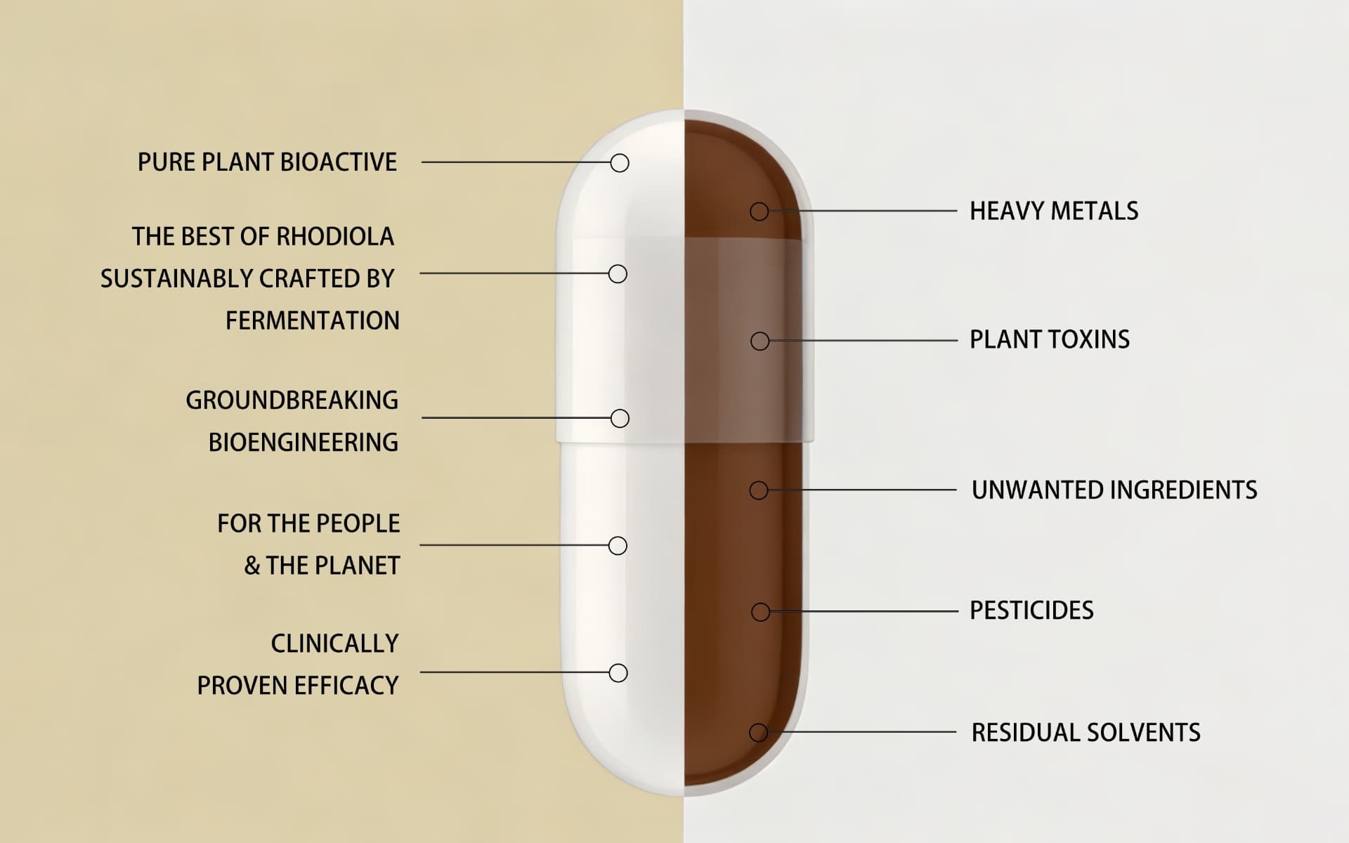 Plant-Extracted vs. Fermented Salidroside: A Purity and Cost Analysis for Formulators